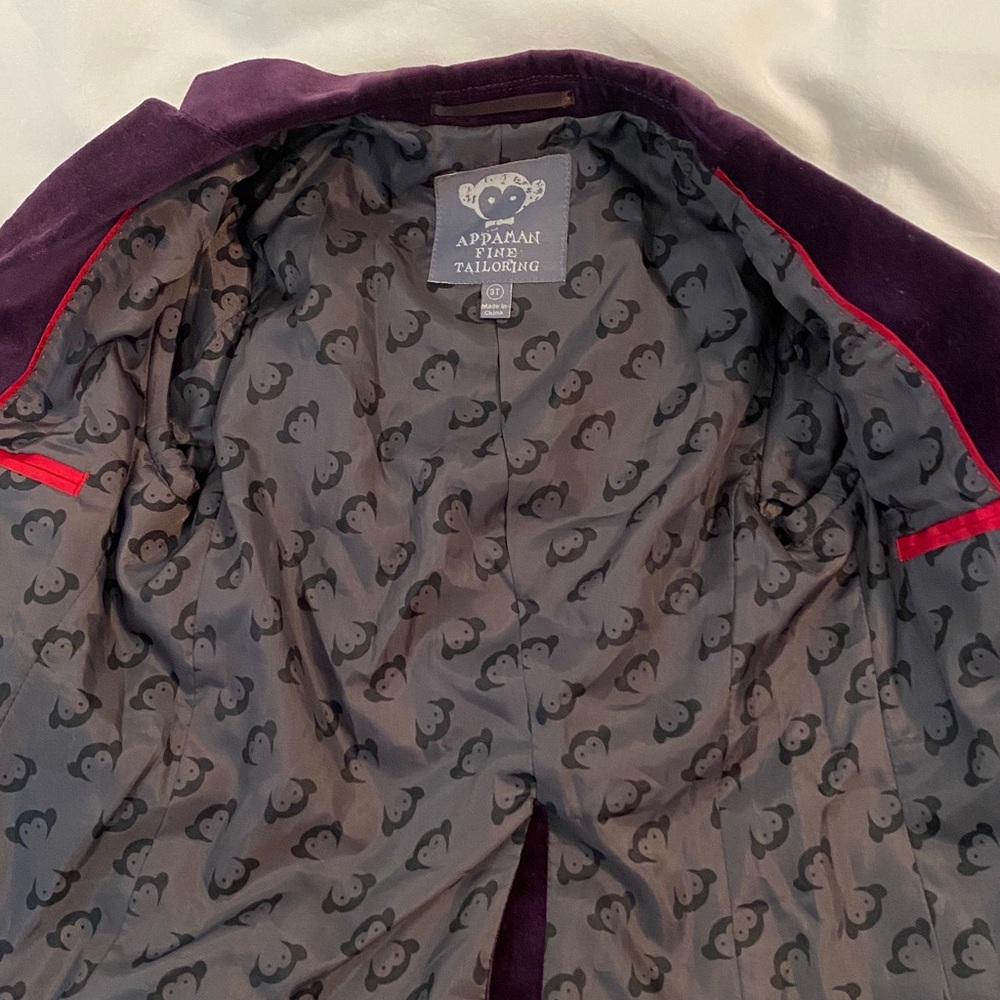 Appaman Kids Velvet Blazer and Pants Suit - Picture 7 of 7